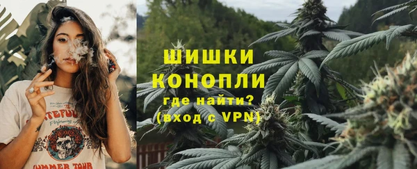 гидра Лихославль