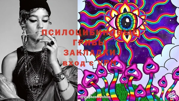гидра Лихославль