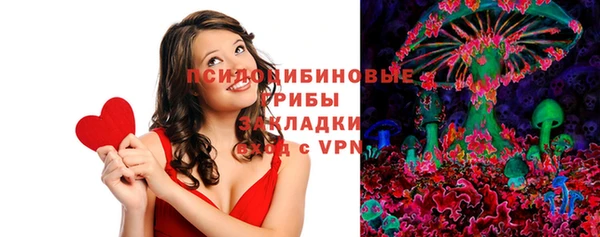 гидра Лихославль