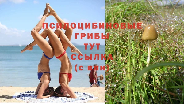MDMA Premium VHQ Липки