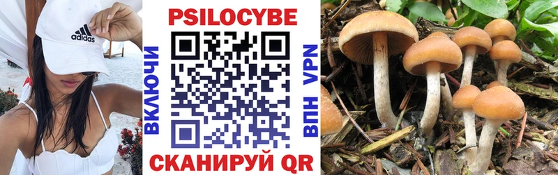 Псилоцибиновые грибы Cubensis  Купить  Донецк 